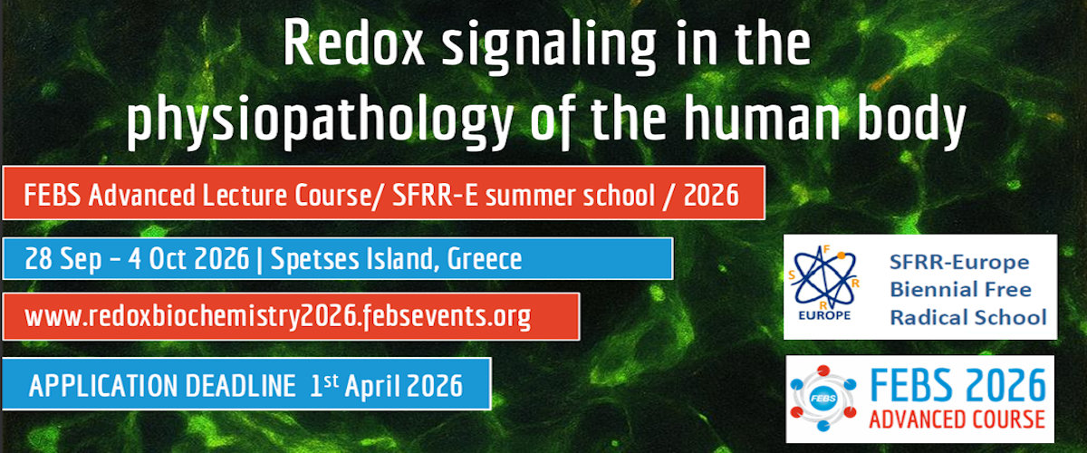 SFRR-E Summer School, Spetses 2026