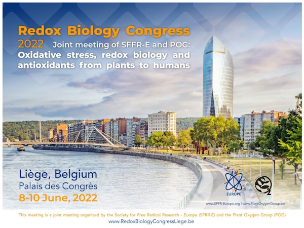 SFRR Europe / POG Ghent 2022