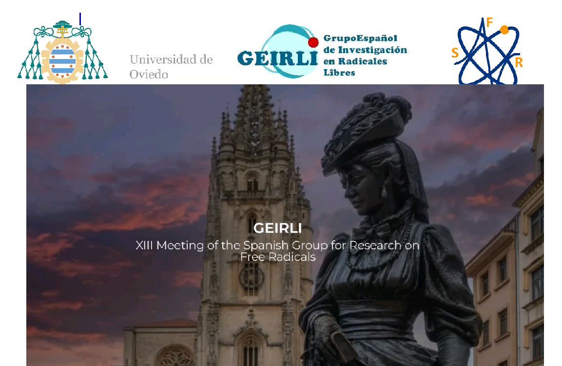 GEIRLI XIII Meeting of the Spanish Group for Research on Free Radicals