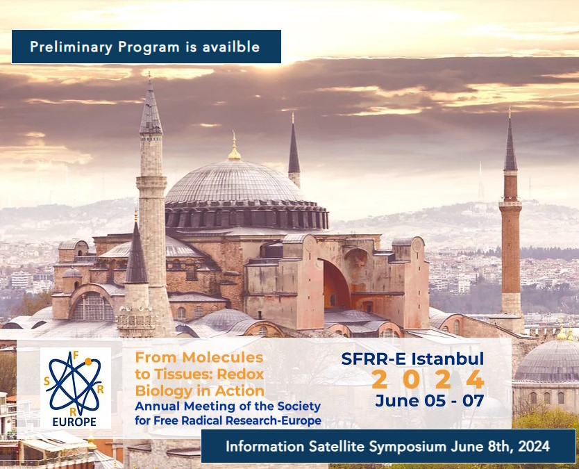 SFRR Europe Meeting Istanbul 2024